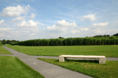 Dyck-Aug-5.jpg