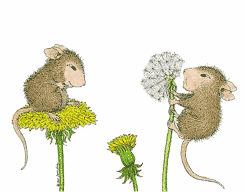 maus203.gif