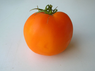Markttomate_1.JPG