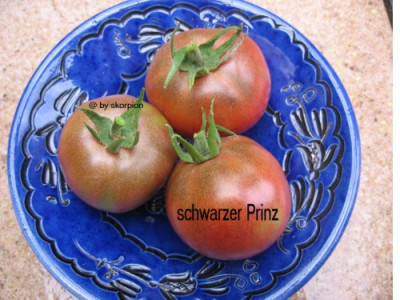 schwarzer_Prinz.JPG