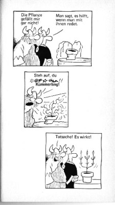 Mit-Pflanzen-reden.jpg