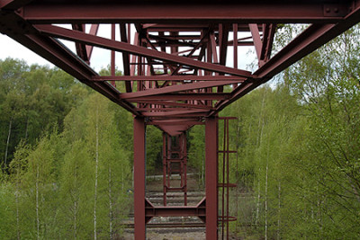 zollvereinbirken_4275.jpg