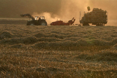 Land-Aug-1.jpg