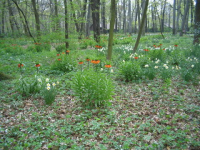 Fritt_Tierpark.JPG