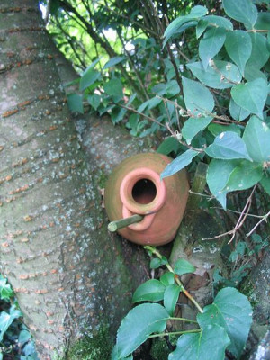 Vogelhaus.jpg