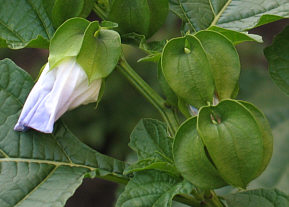 2005082105.jpg