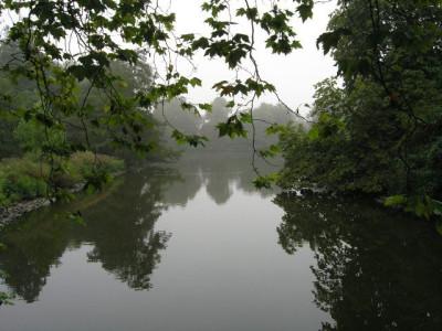 boga_Teich_210805.jpg