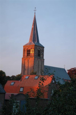 DSC_00044_Medium.JPG
