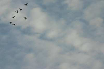 Himmel-Aug-1.jpg