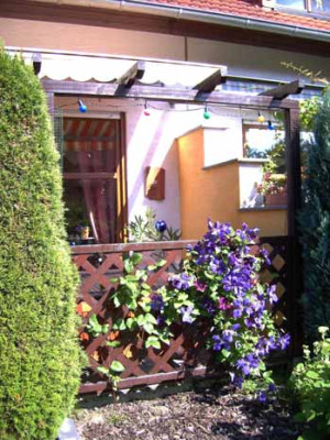 Chillis_Pergola.JPG