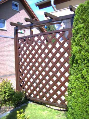 Chillis_Pergola_2.JPG