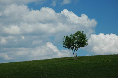 Ballon_DAlsace_1_02-06-05.jpg