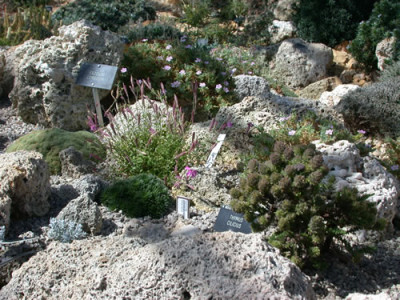 Alpine_Display_House_7988_78.jpg
