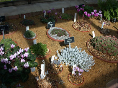 Alpine_Display_House_7995_83.jpg