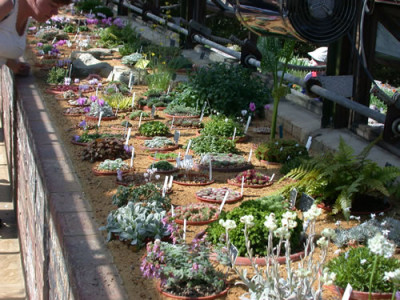 Alpine_Display_House_7990_80.jpg