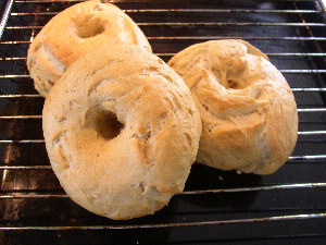 Bagel.jpg