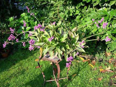 garten130705-1808050214k.jpg
