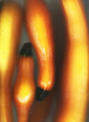 Scanner1.jpg