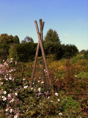 8.05.wst.rankgestell.jpg