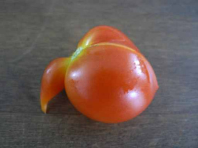 Tomate1.jpg