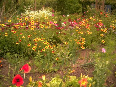 Gemusegarten.JPG