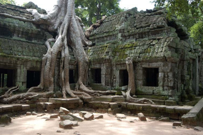 taprohm_O_N14276.jpg