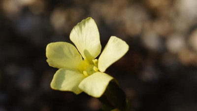 DSC07580.jpg