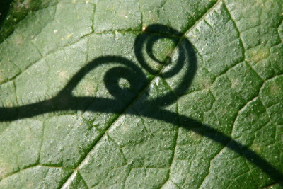 Blatt-Sep-1.jpg
