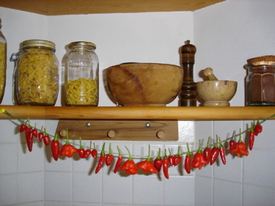 chiliernte.jpg