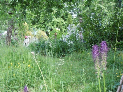 Gartenbilder Anfang Juni, BoGa Bilder 021.jpg