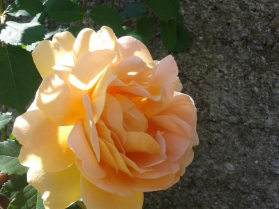20150607_155015.jpg