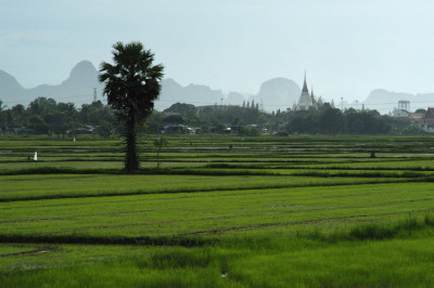 thai05_023_13203.jpg