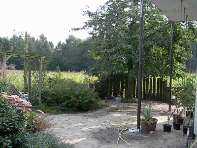 Gartenbilder_006.jpg