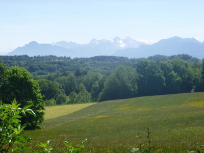 P1000135.jpg