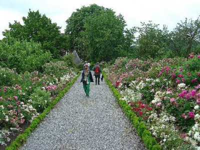 Kasteel_Hex_Rosen_11-06-04.jpg