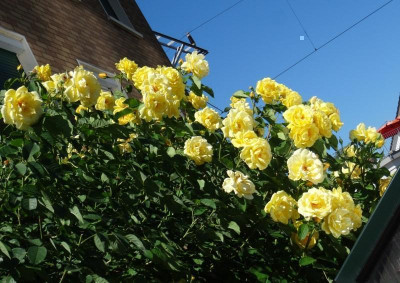 DSC02211.jpg