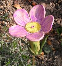 blume_toepfer11.jpg