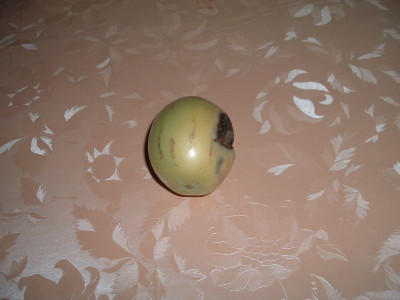 2005_0911Bild0008.jpg