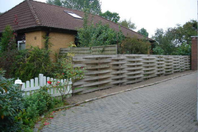 bild_3.jpg