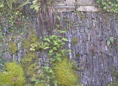 TGH004Rimg0015.JPG