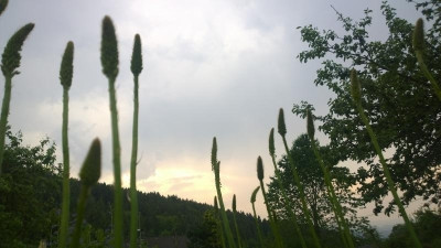 WP_20150608_17_37_05_Pro.jpg