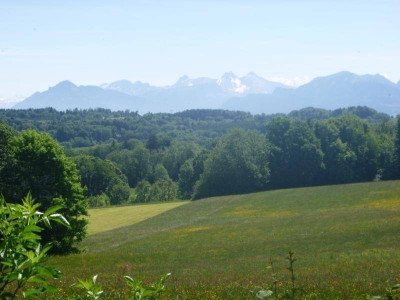 P1000135.jpg