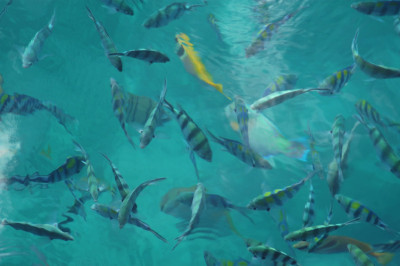 thai05_029_13409.jpg