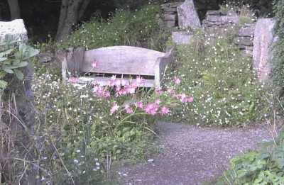 TGHRimg0034.JPG