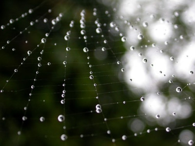 den_wenigen_Regen_fangen.jpg