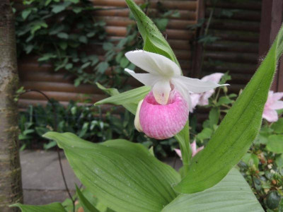 DSCN7252_687.jpg