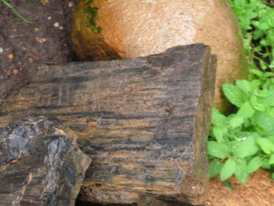 holz1.jpg