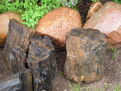 holz2.jpg
