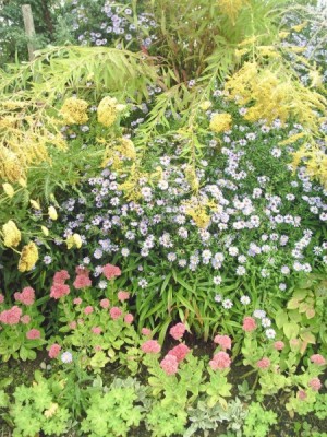 Herbstbeet_1.jpg