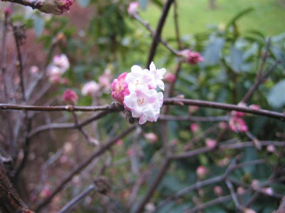 IMG_0003_Small.JPG